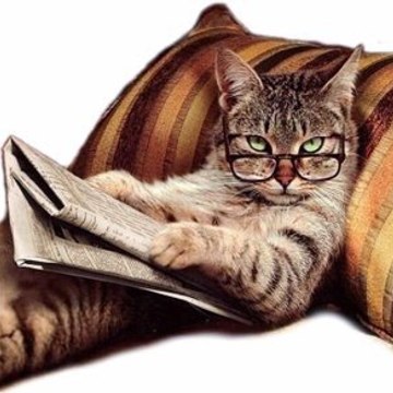Funny Animals