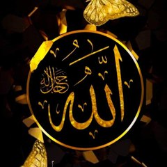HUSSAIN MUGHAL OFFICIAL