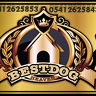 Bursa Köpek Çiftliği 05412625843