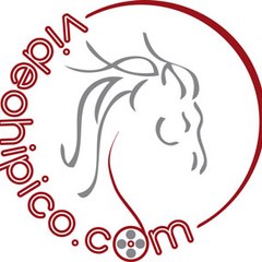 VideoHipico