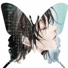 butterfly46