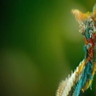 Photography Tutorial