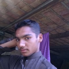 Ali Yasir