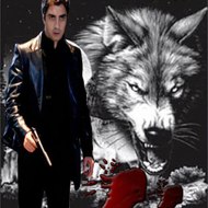 Hicham Kurtlar-Vadisi