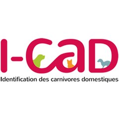 I-CAD
