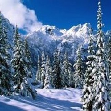 Commercials Compilation