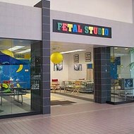 Fetal Studio