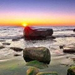 All fails videos