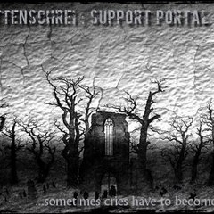 SchattenschreiVideo