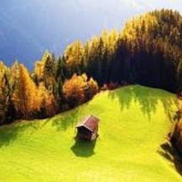 F4F