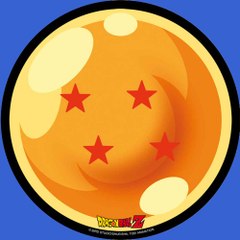 Dragon Ball Super Fan