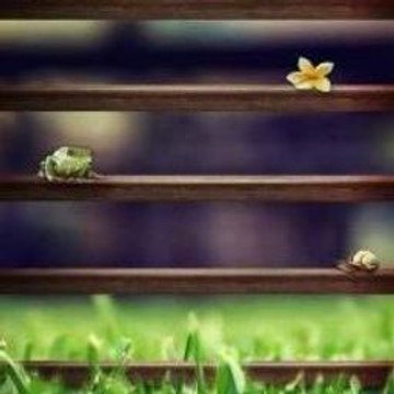 Blog