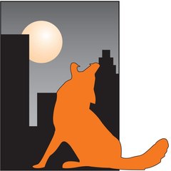 Urbanwildlifecontrol1