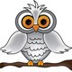 MyJoyCity