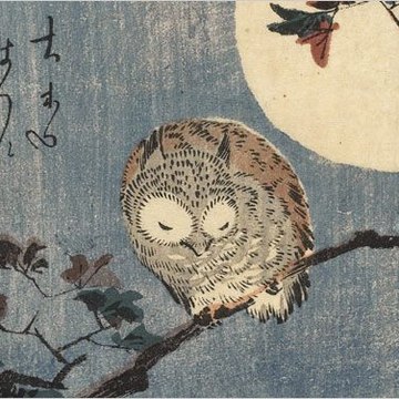 instinct de ciel
