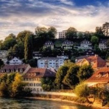 Animal Documentary 2015