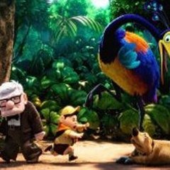 Ran D Animals