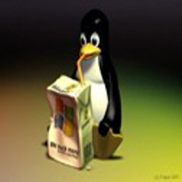 Animal Funny