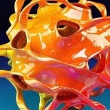 Travel Essentials