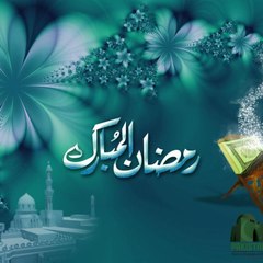 abubakr263
