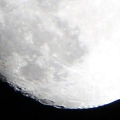Zoom-Max