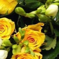 Hindi Cartoon Movies