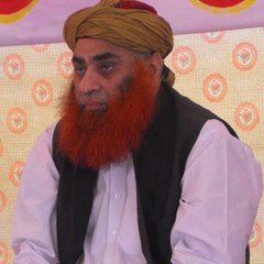 Pir Syed Riaz Hussain Shah Sahib