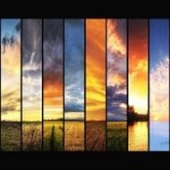 Animal Geographic Channel