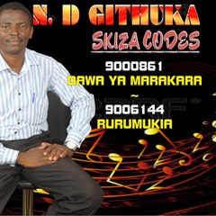 Ndgithuka133