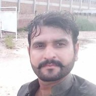 movies videos and blogs