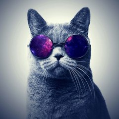 randomvideos