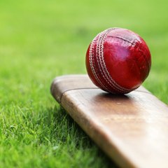 Cricket Freak