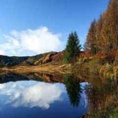 Pakistani Songs