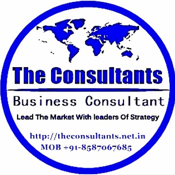 Business  Consultant | Political Consultant