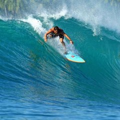 surfsureau