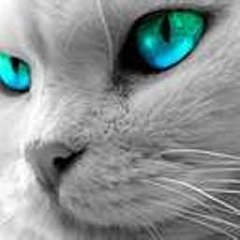 E Animales