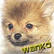 wanko