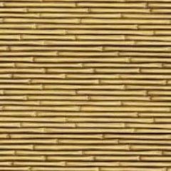 Funny Sports Moments