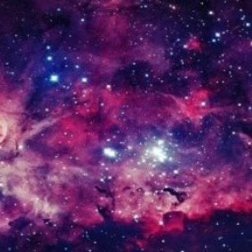 Funny Videos