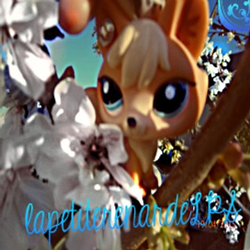 LαρετίτεRenardeLpS(=^-^=)