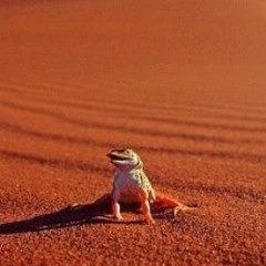 Hindi Cartoon Movies