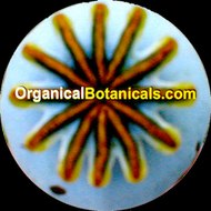 Organical Botanicals