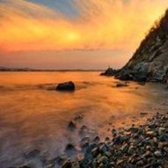 Pakistan Vs Zimbabwe