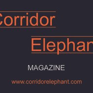 Corridor Elephant
