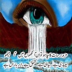 syed qalab naqvi