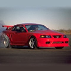 Best Fun