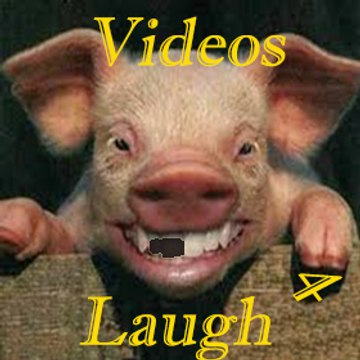 Videos for laugh