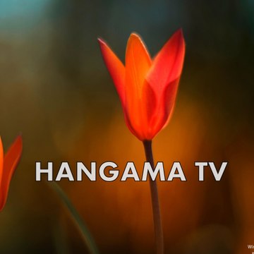 Pakistani Hangama tv