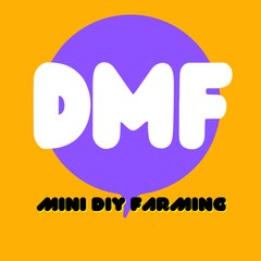 DIY Mini Farmers