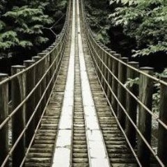 Follow